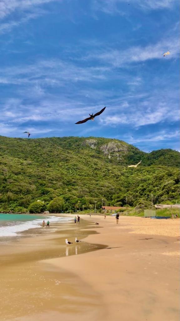 Maravilhoso Com Piscina E Vista Mar Mirante Club Apartamento *